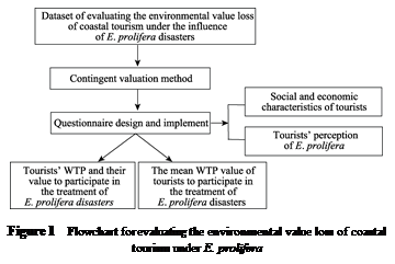 ??????:
Figure 1 Flowchart for evaluating the environmental value loss of coastal tourism under E. prolifera
